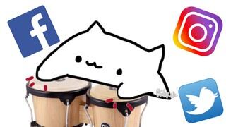 ¿Todavía no conoces al'Bongo Cat'? Acá te contamos todo sobre el meme de moda