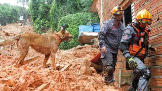 Fuertes lluvias en Brasil dejan al menos 16 muertos y 33 desaparecidos | FOTOS