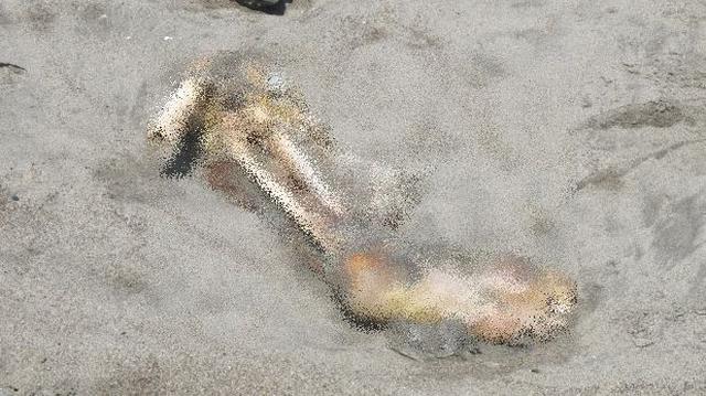 Huanchaco: turista encontró una pierna en la playa - 2