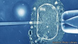 Nueva técnica podría mejorar la fertilización in vitro