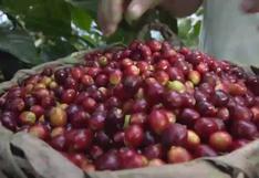 Exportaciones de café peruano superaron los 215 millones de dólares en 2020