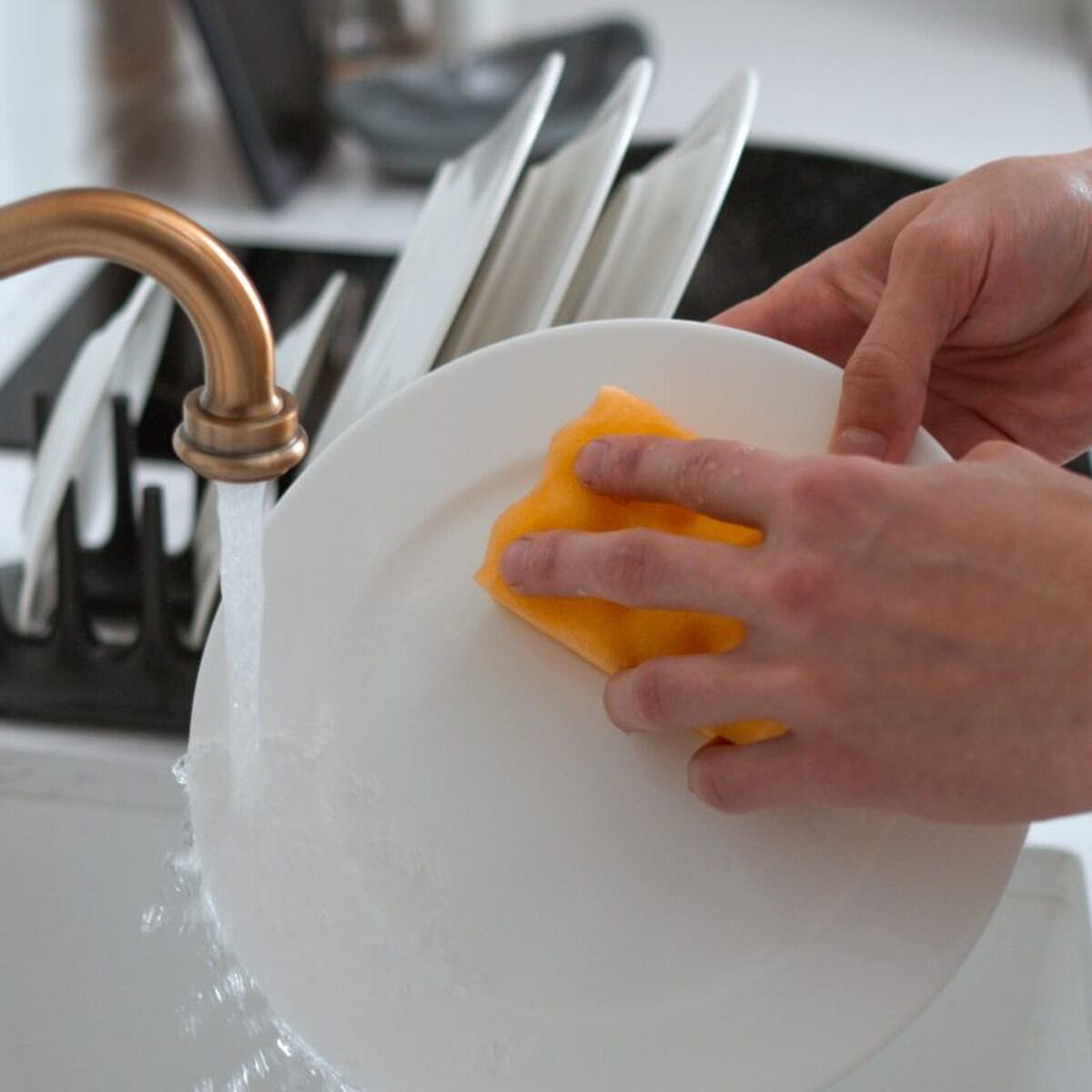 Paños de cocina: cómo lavarlos y que queden libres de manchas, bacterias y  olores