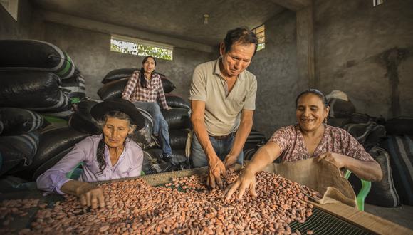 cacao