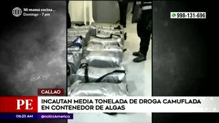 Callao: incautan droga camuflada en contenedores de algas