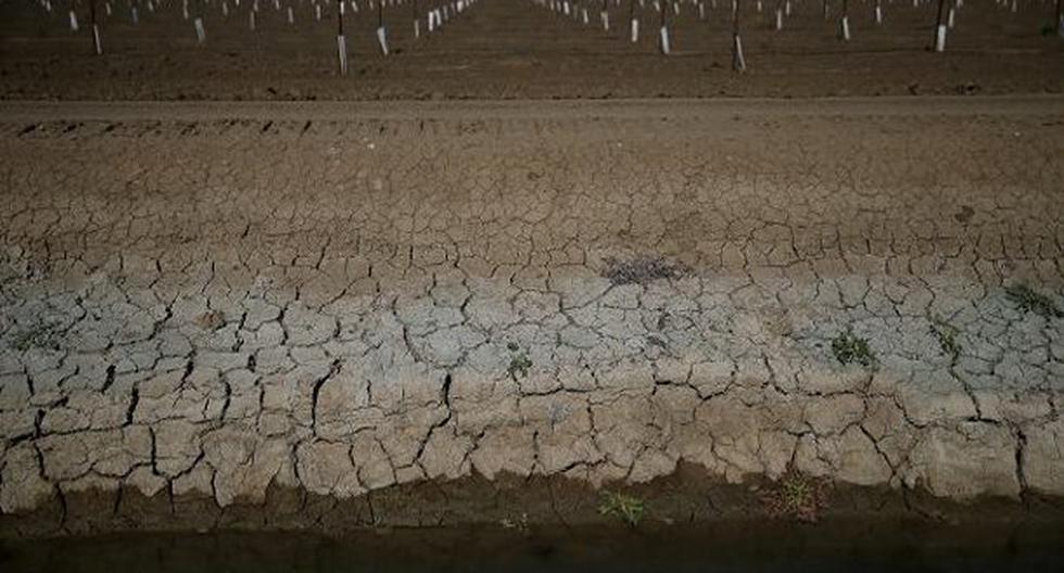 California atraviesa un periodo de sequía que ha obligado a regular el uso de agua. (Foto: univision.com)