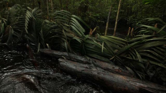 Loreto: pobladores limpian la zona del derrame de petróleo - 8