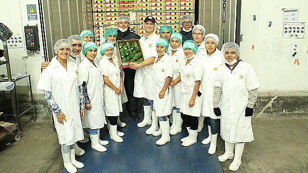 Camposol envió su primer contenedor de palta al Japón