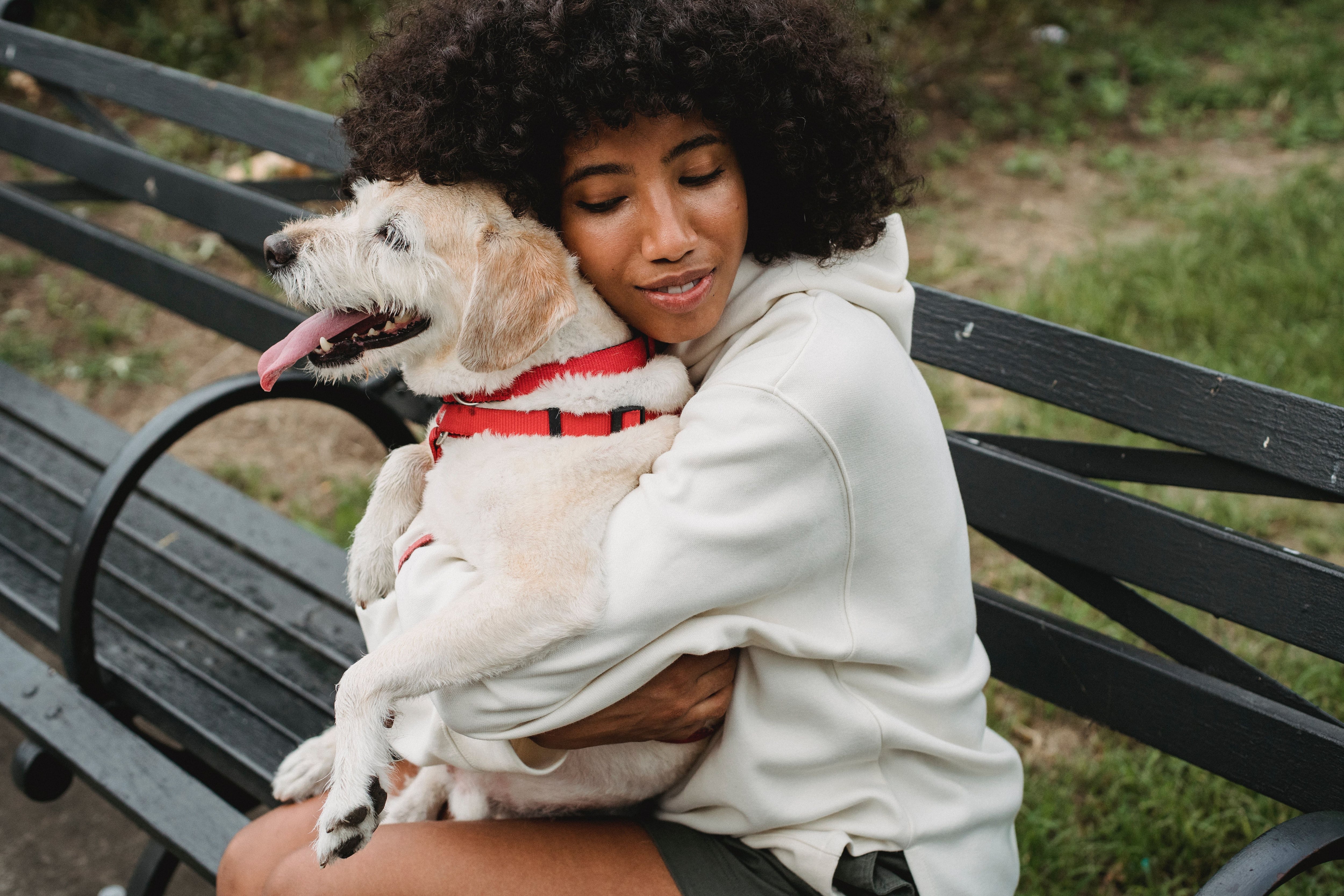 Para personas deprimidas o ansiosas, basta con tomar entre sus brazos al animal para sentirse feliz y aliviado. (Foto:Pexel)