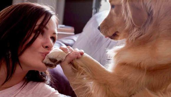 Conexión entre dueños y perros es similar al de madres e hijos