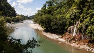 El Parque Nacional Cordillera Azul, uno de los pocos espacios de selva virgen en el Perú