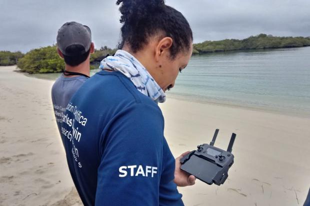 El equipo de investigadores de la Fundación Charles Darwin monitorean, por medio de un dron, la cantidad y ubicación de las tortugas marinas. Foto: Michelle Carrere