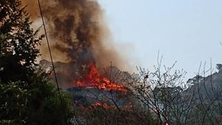 Mujer provocó incendio en 60 hectáreas de una zona protegida de México por grabar video para Tik Tok