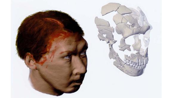 La cara humana evoluciona en función del tamaño del cerebro
