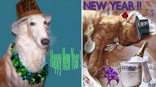 ¿Listo para tomar nota de la resoluciones de Año Nuevo para tu mascota?