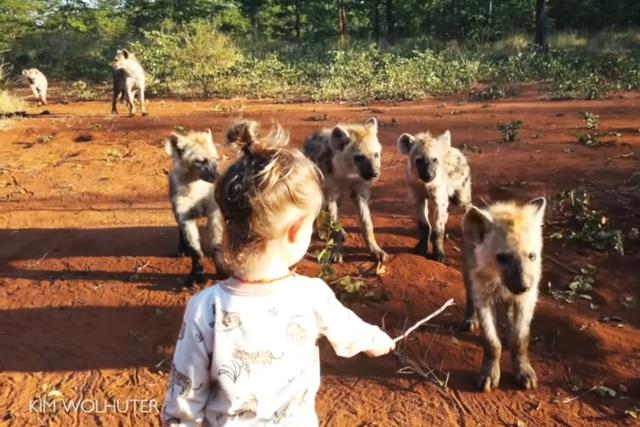 La pequeña de dos años pasó un buen momento jugando con los animales. (Captura: @CatersClips/YouTube)