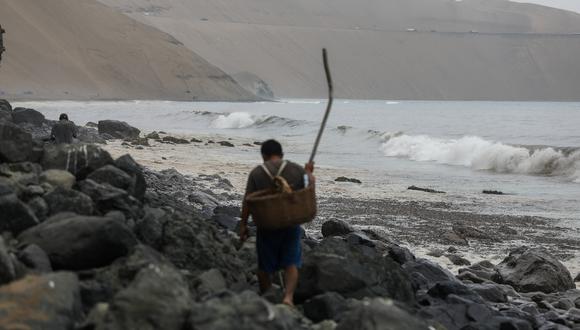 Algunos expertos aseguran que la recuperación de las playas como Cavero, en Ventanilla, y Pocitos, en Ancón, tardaría más de una década. Los pescadores de Aucallama sienten que han perdido su única fuente de ingreso de sustento a sus familias. 
Foto/ Jorge Cerdán / @photo.gec