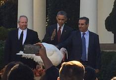 Thanksgiving: Barack Obama indulta a un pavo antes de celebración | FOTOS 