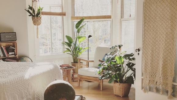 Las plantas y la luz natural son elementos claves para tener un hogar aesthetic.