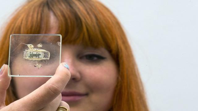 ¿Por qué este microchip vale 2 millones de dólares? - 1