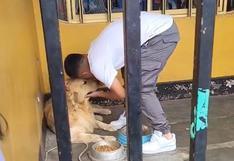 No es más que un hasta luego: Piero Quispe protagoniza entrañable despedida con su perro Drago | VIDEO