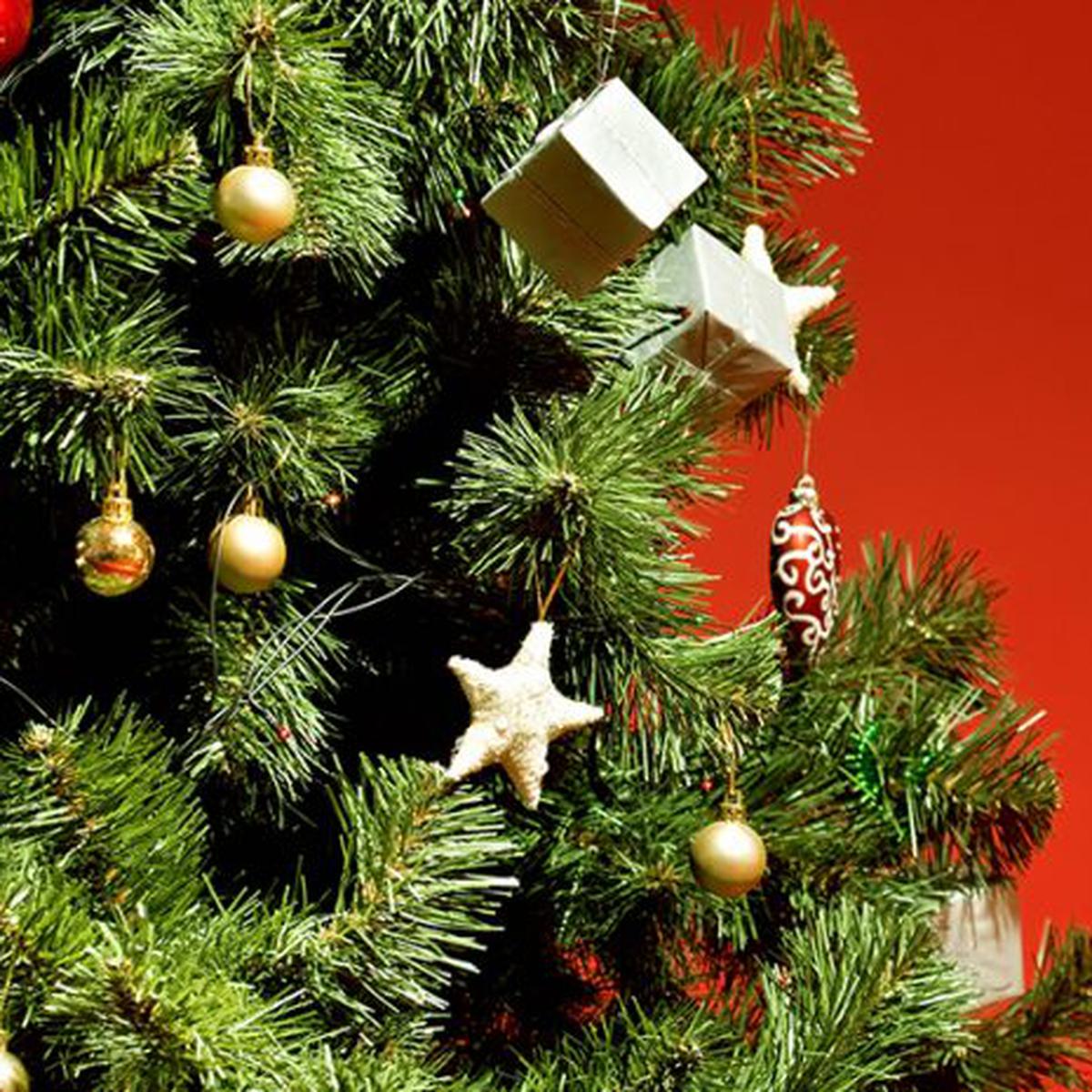 Cuál es la historia del Árbol de Navidad y qué significado tiene cada uno  de sus adornos? tdex revtli | RESPUESTAS | EL COMERCIO PERÚ