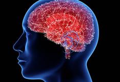 Poca energía neuronal hace al cerebro más propenso a enfermar con la edad, según estudio
