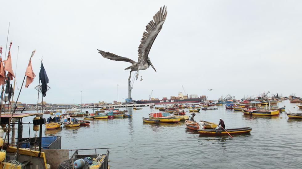 Pescadores peruanos esperan en Arica liberación de sus barcos - 1