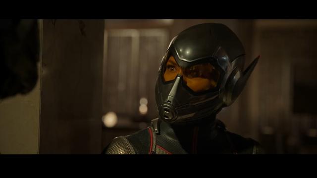 "Ant Man and the Wasp" reveló nuevo tráiler cargado de acción, humor y... hormigas. (Foto: Marvel Studios/ YouTube)