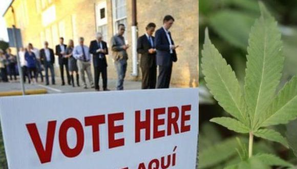 Marihuana e impuestos: Temas que también se votarán en EE.UU.