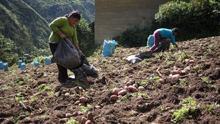 Midagri invertirá S/27 millones en 11 regiones para mejorar capacidades de agencias agrarias