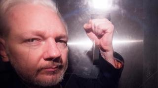 "Julian Assange, el espía espiado", por Virginia Rosas
