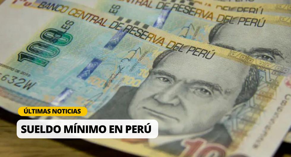 Sueldo mínimo 2024 en Perú: Cuándo podría aumentar este año y qué ha dicho el Ejecutivo sobre la propuesta | Foto: Diseño EC