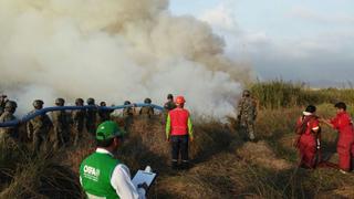 Incendio en pantanos de Villa: OEFA evalúa daños ambientales