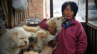 Festival de carne de perro en China: Ella salvó a 400 canes