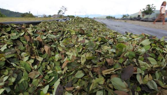 Se redujeron cultivos de hoja de coca, según informe de Unodc