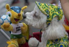 En Río de Janeiro los perros también celebran el carnaval