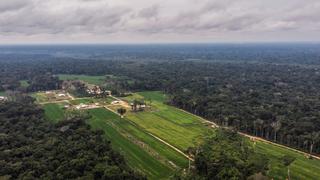 Menonitas en Perú: la historia oculta de la entrega de bosques en Masisea