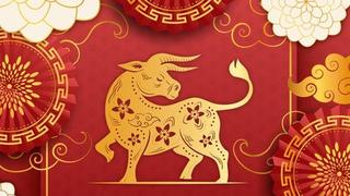 Horóscopo chino 2022 del Buey: predicciones para este signo del zodiaco en el Año del Tigre de Agua