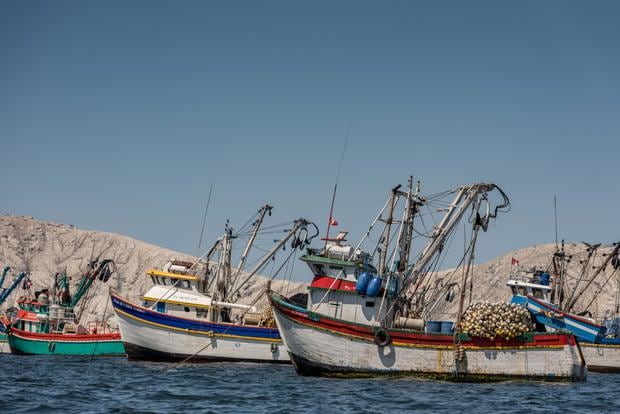 Las embarcaciones de menor escala tienen redes y aparejos de pesca mecanizados. Foto: Oceana.
