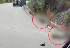 Cusco: dos jóvenes de 19 años fallecieron por despiste de motocicleta