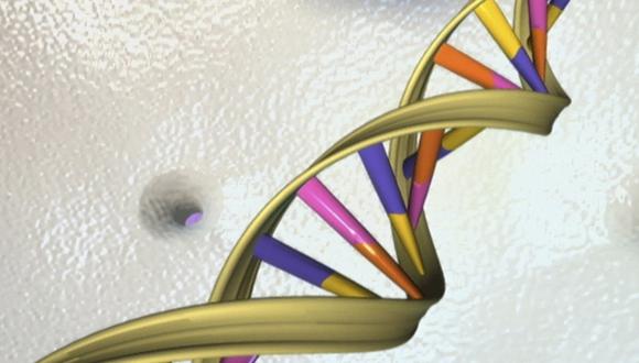 Científicos revelan proyecto para crear genoma humano sintético