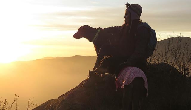 Para el nivel 3 atrévete con rutas de más de 4, 000 msnm. como Marcahuasi. "Con los paseos le damos la oportunidad al perro de liberar su instinto, permitiendo que exploren y olfateen en su hábitat natural", cuenta Blanca Kometter de K9 Travesías.