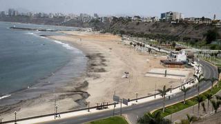 Miraflores cierra acceso a sus playas para el recojo de pelícanos infectados o muertos