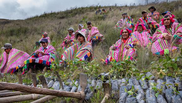 Desde su creación, Acción Andina ha desarrollado hasta 22 proyectos implementados por 13 socios con estrategias innovadoras y sostenibles en estrecha colaboración con comunidades locales, gobiernos, empresas privadas y voluntarios, distribuidos en Ecuador, Perú, Bolivia, Argentina y Chile.
