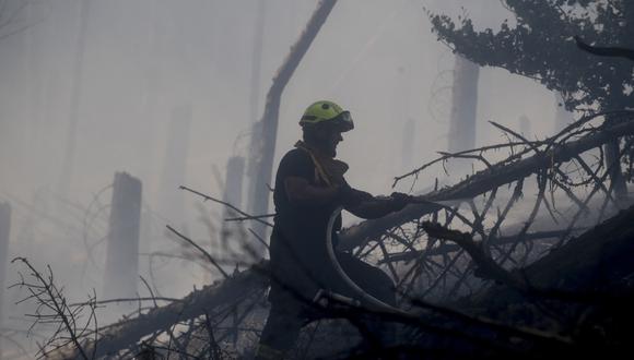 Un bombero trabaja para contener un incendio forestal que continúa ardiendo en un bosque cerca de la ciudad de Hrensko, República Checa, el 26 de julio de 2022. Foto: Michal Cizek / AFP