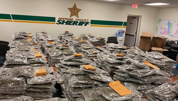 Los 350 kilos de marihuana que la policía del condado de Brevard encontró en la calle. (Foto: Facebook @BrevardCountySheriff)