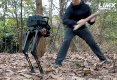 Robot todoterreno mantiene el equilibrio a pesar de duros golpes y obstáculos | VIDEO