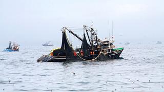 Pesca industrial de anchoveta se reanuda este domingo