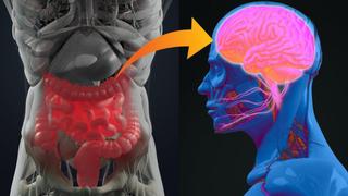 La enfermedad de Parkinson podría originarse en el apéndice