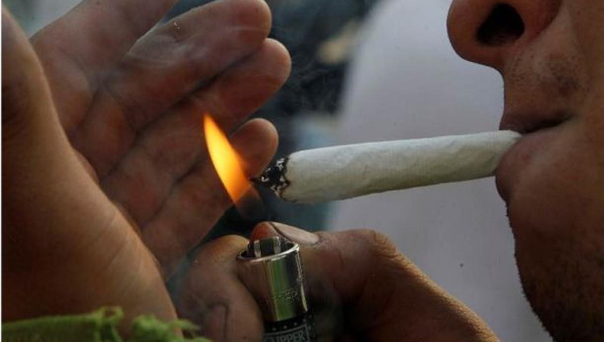 La marihuana podría ser la salvadora de la industria tabacalera